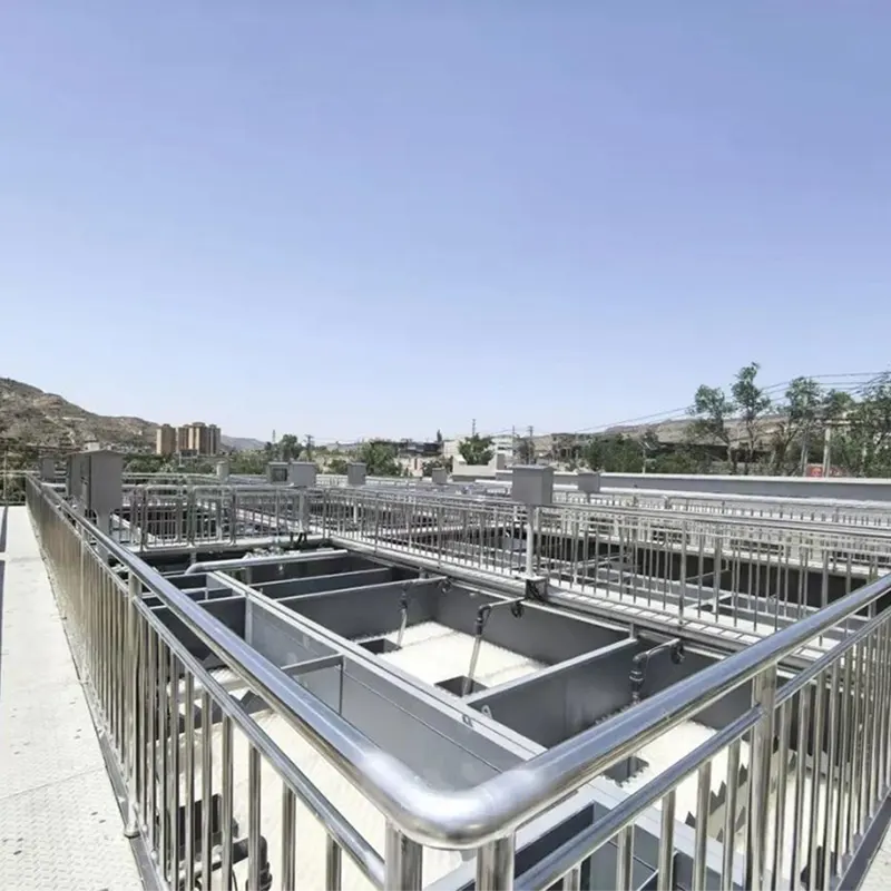 Ingénierie du traitement biologique des eaux usées urbaines